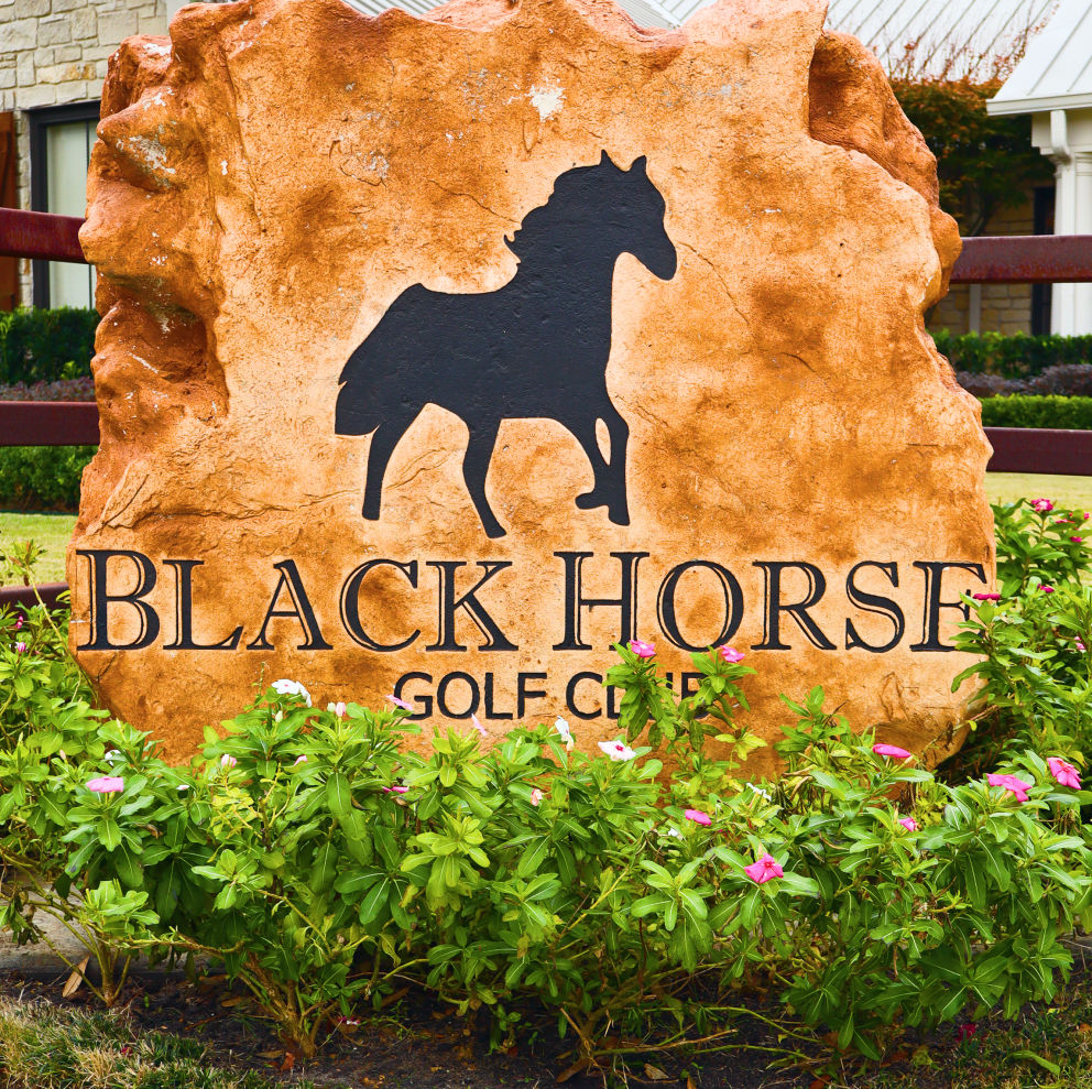 blackhorse feature img