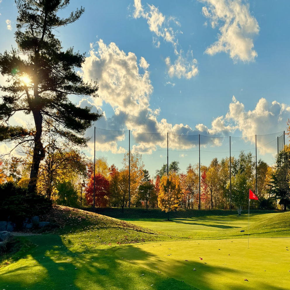 material-features-harmony